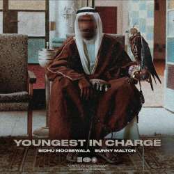 Youngest In Charge Poster