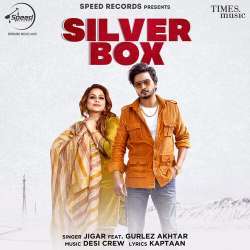 Silver Box Poster