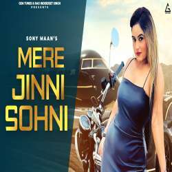 Mere Jinni Sohni Poster