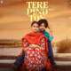 Tere Pind Ton Poster