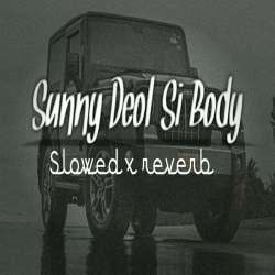 Sunny Deol Si Body Slowed x reverb Poster