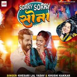 Sorry Sorry Sona Poster