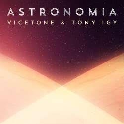 Astronomia - Vicetone,Tony Igy Poster