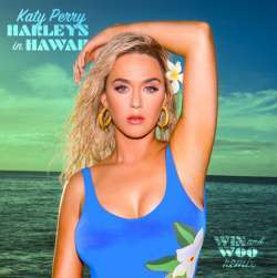 Harleys In Hawaii - Starstrukk, Katy Perry Poster