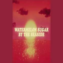 Watermelon Sugar - Seaside SEB Poster