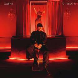 GASHI Ft. DJ Snake - Safety Poster