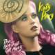 Who Am I Living For - Katy Perry Poster